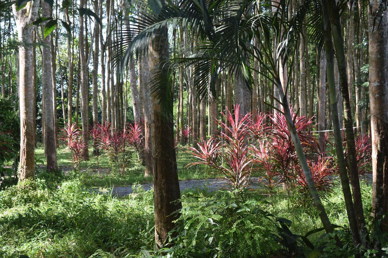Manora Garden Hotel Phang Nga Buitenkant foto
